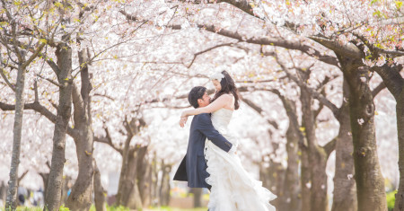 トップ桜ドレス_edited-1