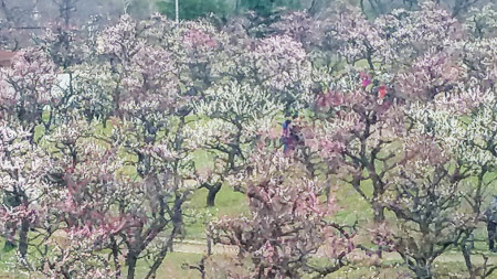 LRM_EXPORT_79692350441103_20190301_112750717