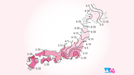 sakura_front_800x450
